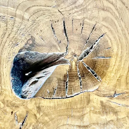 W Parku Przy Teatrze