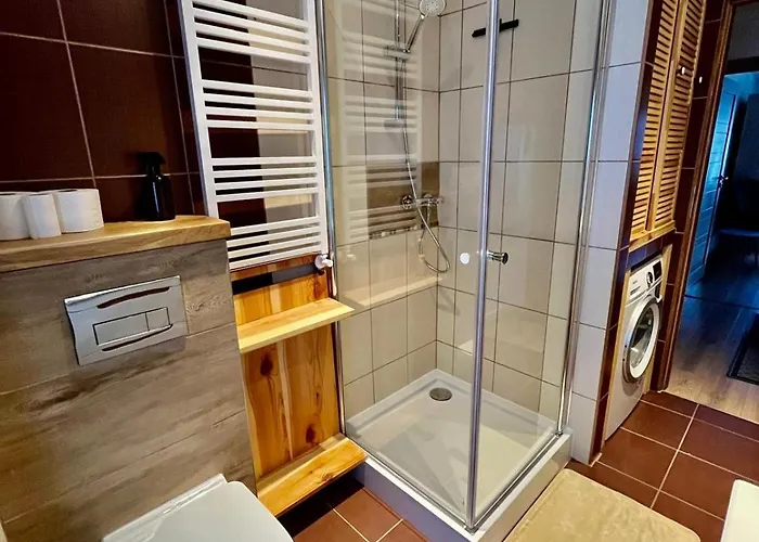 W Parku Przy Teatrze Apartment *